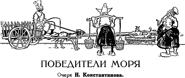 Голландия почти на всей своей территории представляет страну отвоеванную - фото 22