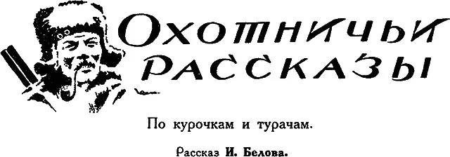 В бывш имении Тагиева возле ст Евлах Закавказской ж д множество турачей - фото 45