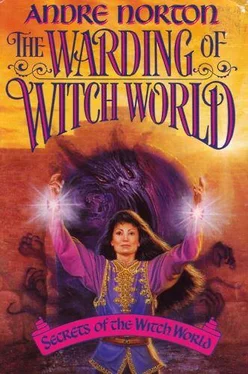 Andre Norton The Warding of Witch World обложка книги