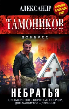 Александр Тамоников Небратья обложка книги