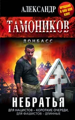 Александр Тамоников - Небратья