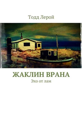 Тодд Лерой Жаклин Врана обложка книги