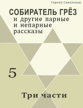 Сергей Саканский Три части (сборник) обложка книги