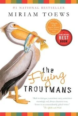 Miriam Toews The Flying Troutmans обложка книги