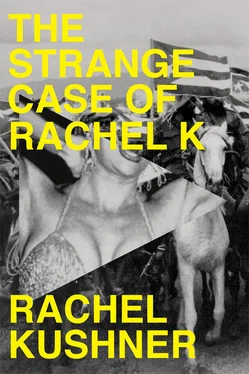 Rachel Kushner The Strange Case of Rachel K обложка книги