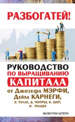 Валентин Штерн - Руководство по выращиванию капитала от Джозефа Мэрфи, Дейла Карнеги, Экхарта Толле, Дипака Чопры, Барбары Шер, Нила Уолша