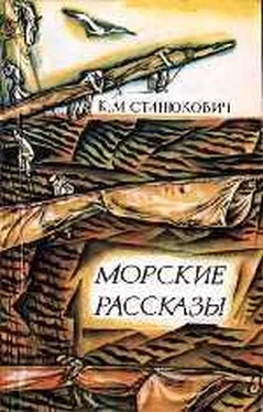 Константин Станюкович Гибель «Ястреба» обложка книги