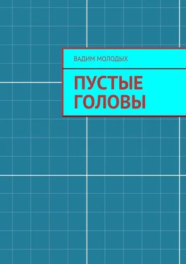 Вадим Молодых Пустые головы обложка книги