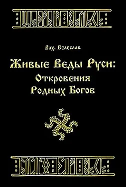 Волхв Велеслав Живые веды Руси: откровение РОДных богов обложка книги