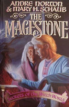 Andre Norton The Magestone обложка книги
