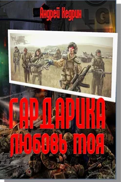 Андрей Кедрин Гардарика любовь моя обложка книги