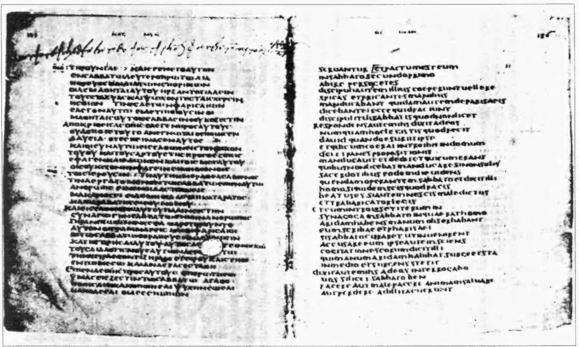 Рис 10Codex Bezae Cantabrigiensis D V в Университетская библиотека - фото 17