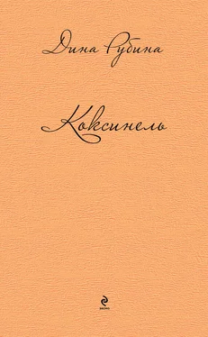 Дина Рубина Коксинель (сборник) обложка книги