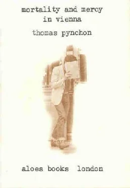 Томас Пинчон Милость и расправа в Вене обложка книги