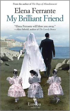 Elena Ferrante My Brilliant Friend обложка книги