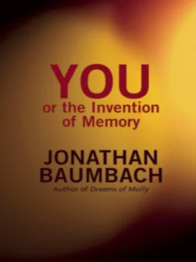 Jonathan Baumbach You, or the Invention of Memory