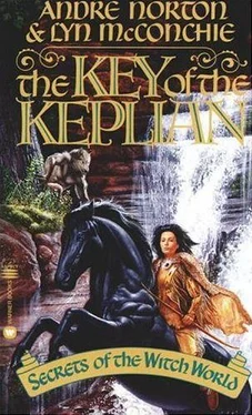 Andre Norton The Key of the Keplian обложка книги