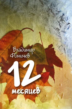 Владимир Фомичев 12 месяцев (сборник) обложка книги