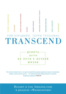 Рэй Курцвейл Transcend: девять шагов на пути к вечной жизни обложка книги