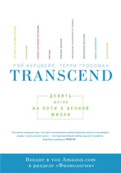 Рэй Курцвейл - Transcend - девять шагов на пути к вечной жизни