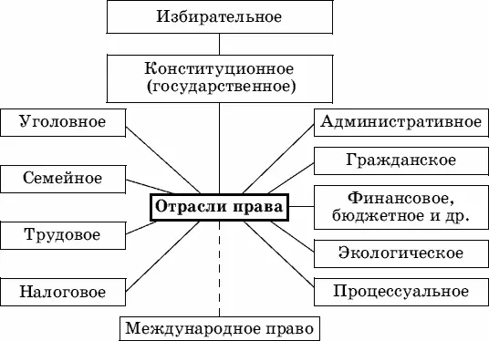Отрасли права Правовая норма норма права это общее правило поведения - фото 3