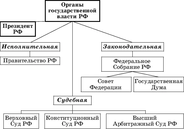Органы государственной власти О других основах конституционного строя в России - фото 6