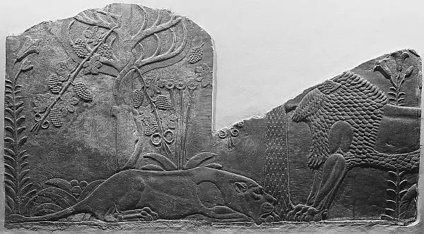Львы в саду 645660 гг до н э правление Ашшурбанипала Среди письменных - фото 33