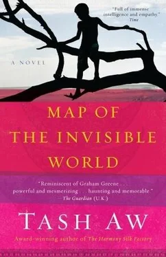 Tash Aw Map of the Invisible World обложка книги