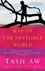 Tash Aw - Map of the Invisible World
