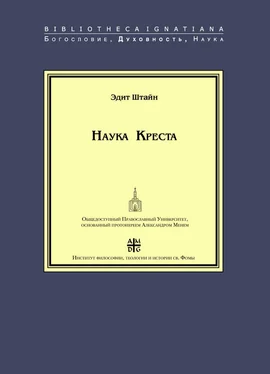 Эдит Штайн Наука Креста. Исследование о святом Хуане де ла Крусе обложка книги