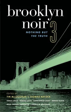 Thomas Adcock Brooklyn Noir 3: Nothing but the Truth обложка книги