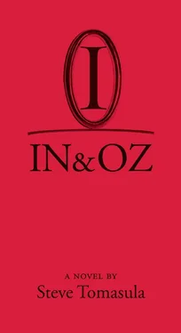 Steve Tomasula IN & OZ обложка книги