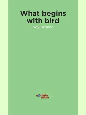 Noy Holland What begins with bird обложка книги