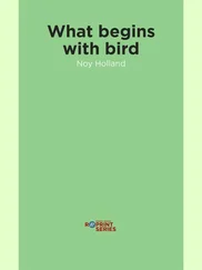 Noy Holland - What begins with bird