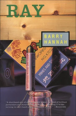 Barry Hannah Ray обложка книги