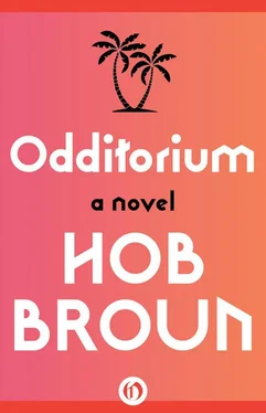 Hob Broun Odditorium обложка книги