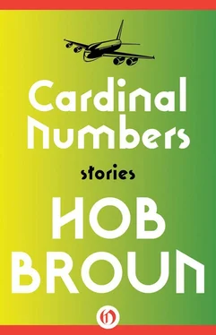 Hob Broun Cardinal Numbers: Stories обложка книги