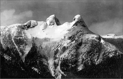 With the cables of its Lions Gate Bridge swooping from pylon to pylon - фото 38