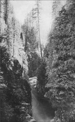 Up above high sagalie in the Chinook jargon Pauline Johnson used with Chief - фото 39
