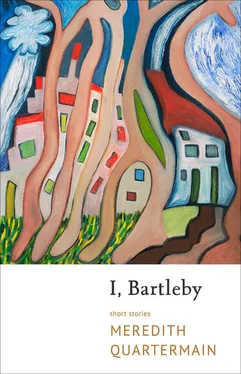 Meredith Quartermain I, Bartleby обложка книги