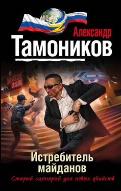 Александр Тамоников Истребитель майданов обложка книги