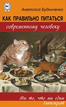 Анатолий Будниченко Как правильно питаться современному человеку обложка книги