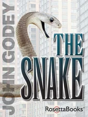 John Godey - The Snake