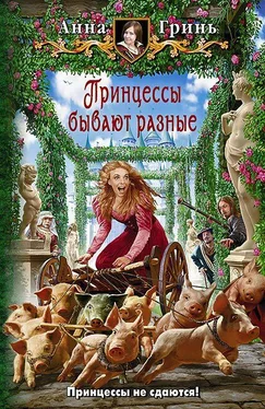 Анна Гринь Принцессы бывают разные обложка книги