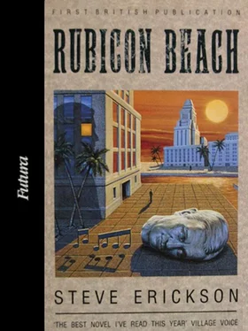 Steve Erickson Rubicon Beach обложка книги