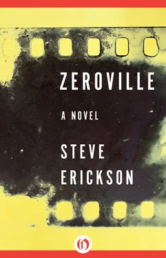 Steve Erickson Zeroville обложка книги