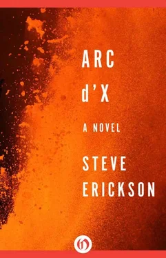 Steve Erickson Arc d'X обложка книги