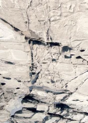 Мария Галина - Сажальный камень