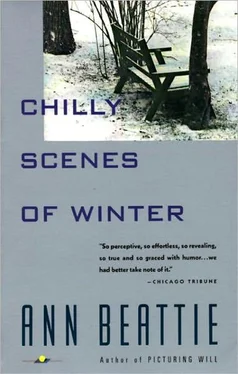 Ann Beattie Chilly Scenes of Winter обложка книги