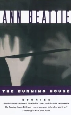 Ann Beattie Burning House обложка книги